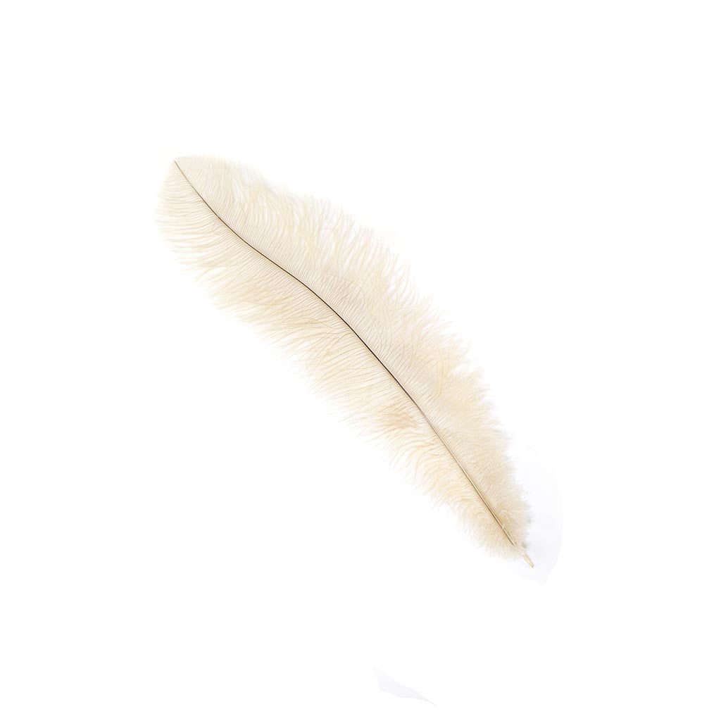 Ostrich Floss Feather Fan - Natural Tonals