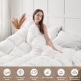 thumbnail image 4 of Teler Feather Down Comforter Queen Size - Duvet Insert with 100% Cotton Cover - White 90" x 90", 4 of 6