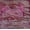 Pink, variant on Women's Satin Silk Saree with Silver Zari Embroidery and Sequin Detailing, Traditional Ethnic Saree, Pack of 1