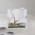 thumbnail image 2 of 2 Sets Jumping Spider Enclosure Box Spider Habitat Box Acrylic Insects Feeding Case with Tools, 2 of 3
