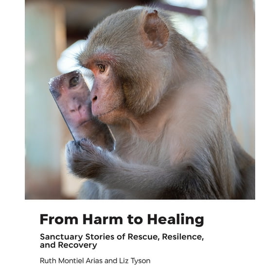 From Harm to Healing: Sanctuary Stories of Rescue, Resilience, and Recovery, (Hardcover)
