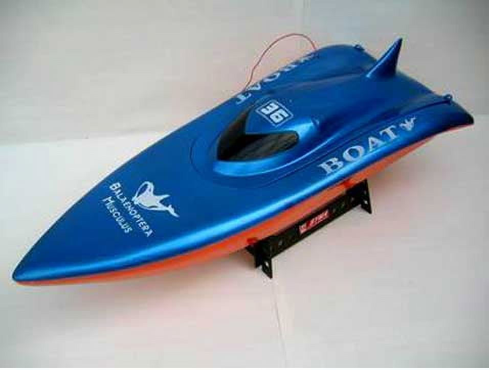 Ready! Set! Race! 23" Balaenoptera Musculus Racing Boat