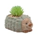 thumbnail image 1 of Macetas de plantas suculentas de animales, macetas de tortugas pequeñas, mini contenedores de plantas florales, decoración de animales, 1 of 5