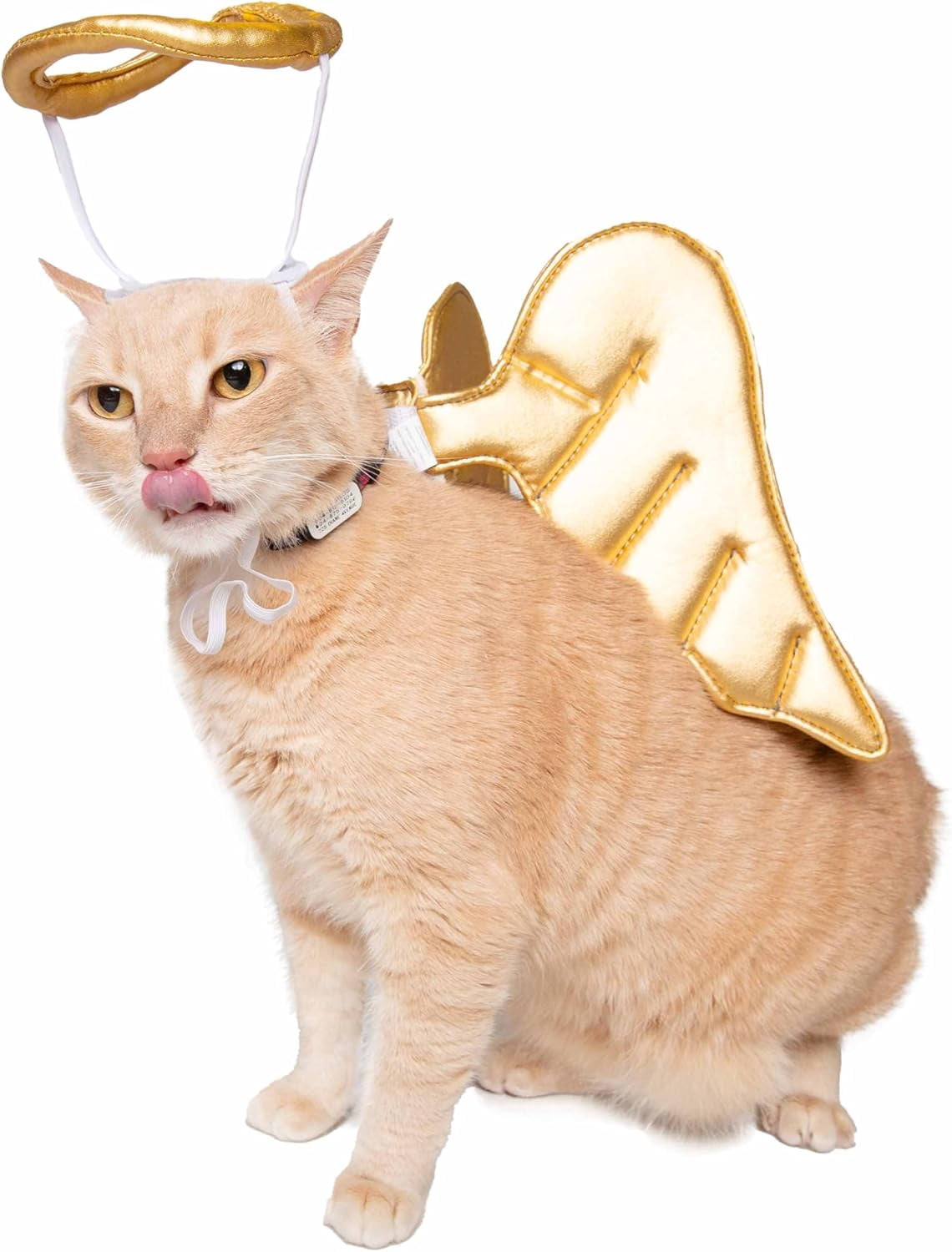 Pet Krewe Angel Dog Costume Wings & Cat Angel Costume Wings - Harness Attachment, One Size Fits All - Perfect for Halloween, Christmas Holiday, Parties, Photoshoots, Gifts for Dog & Cat Lovers