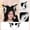 White, variant on Cat Wolf Fox Dog Ears Headband Handmade Faux fur Cosplay Halloween Costume Party,Handmade Animal Furry Ears Hair Hoop,Realistic Animal Ear Costume Accessory for Party Anime Cos Lolita Dress Up