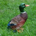 thumbnail image 4 of Adorno Artware de la estatua del marrón del ín de 9 '' para la decoración de la yarda marrón mallard marrón m Cola Estatuas de pato pato silvestre, 4 of 8