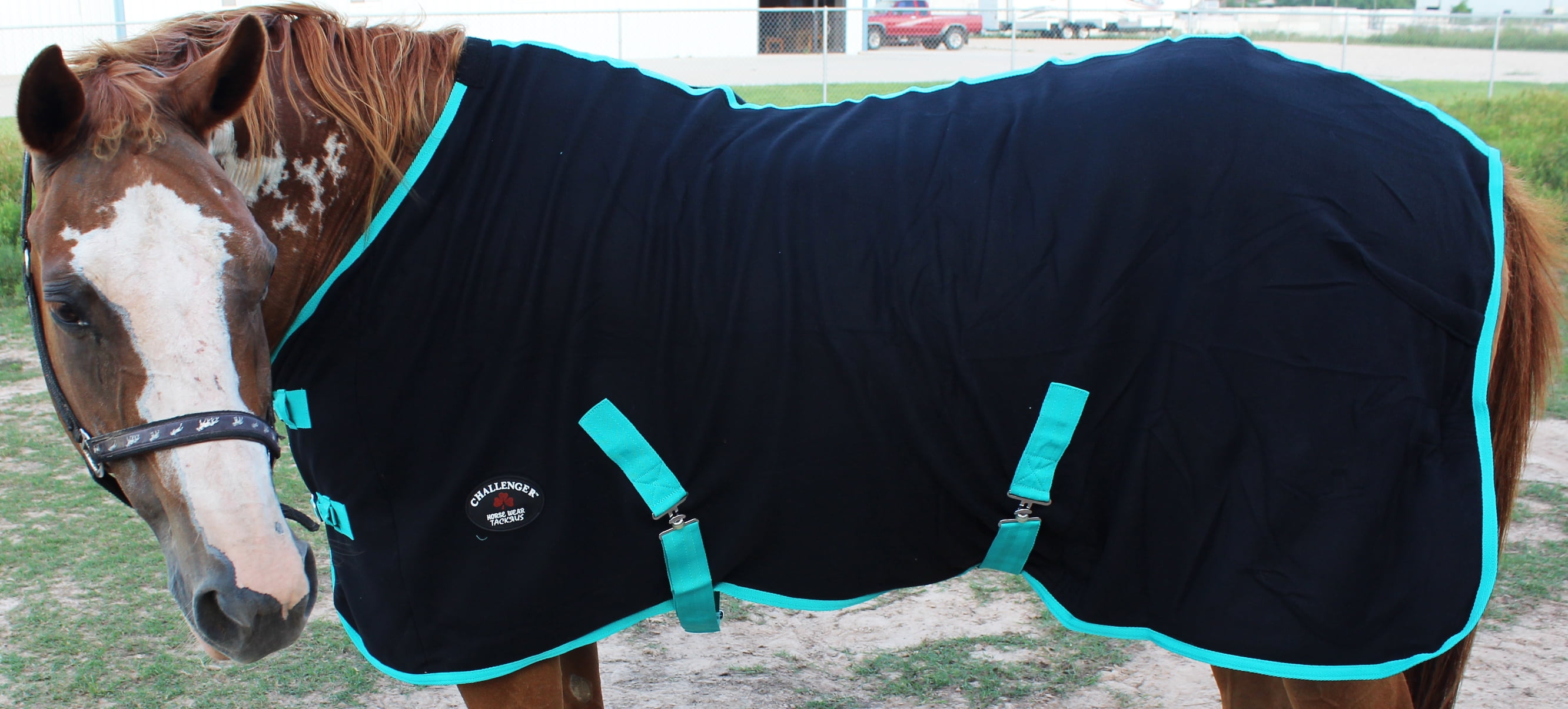 Horse Exercise Sheet Polar Fleece Cooler Blanket Wicks Moisture Turquoise 4350