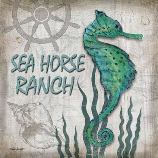 Sea Horse Ranch Can