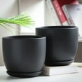 thumbnail image 6 of Modern Black Plant Container with Drainage Holes for Garden Enthusiasts and Plant Lovers, 6 of 8