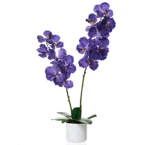 31 Pouces Fleurs Artificielles d'Orchidée 2 Pack, Phalaenopsis en Fausse Fourrure avec Jardinière Blanche et 14 Fleurs, Plantes Réalistes en Pot pour Décoration de Salon Salle de Bain Cuisine Bureau à Domicile