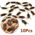 thumbnail image 5 of 10Pcs Simulation Cockroach Toys Realistic Spoofing Toys for Joke Fun Parties Decorative Ornaments, 5 of 8