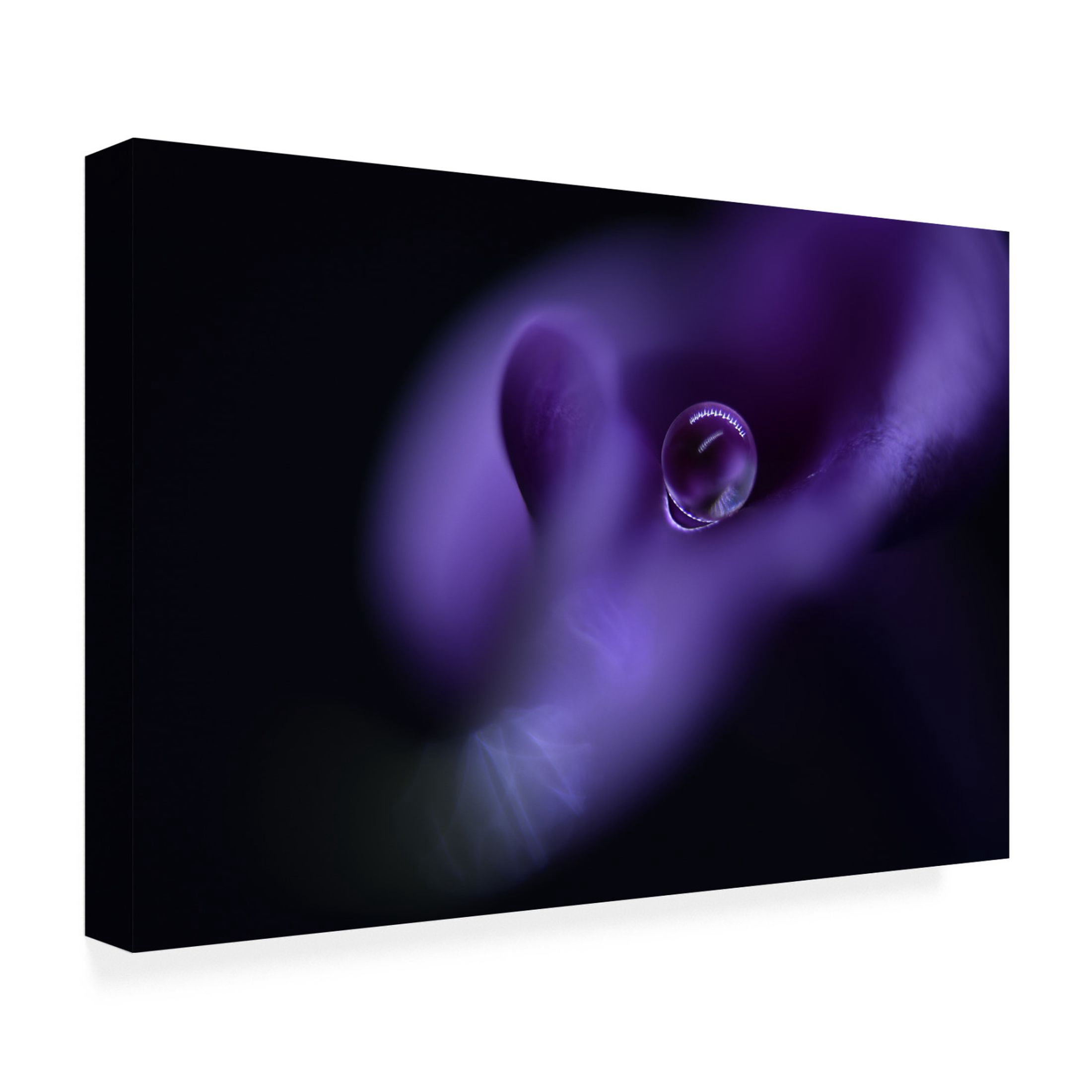 Canvas Wall Art - Heidi Westum 'Kala`S Pearl' Wall Art for Living Room, Bedroom, or Office Décor by Trademark Fine Art - 47 x 30 Inches