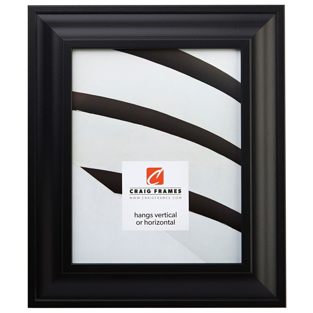 Craig Frames Contemporary Upscale 12 x 18 inch Picture Frame