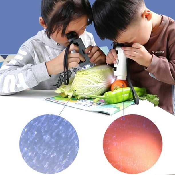 Microscope Portatif de Mini Microscope Explorant des Jouets pour le  Microscope de Poche d'Enfants 80x-120x Mini Microscope Portatif Portatif  avec l'Éducation Menée de Science de la Lumière Explorant des Jouets pour  des