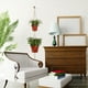 thumbnail image 4 of Macramé Double Plant Hanger Indoor Outdoor 2 Tier Maceta Colgante Jardinera Canasta Algodón Cuerda 4 Tomshoo Tipo A, 4 of 7
