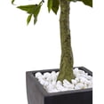 thumbnail image 2 of Nearly Natural 42in. Bay Leaf Artificial Topiary with Black Wash Planter UV Resistant (Indoor/Outdoor), Green, 2 of 3