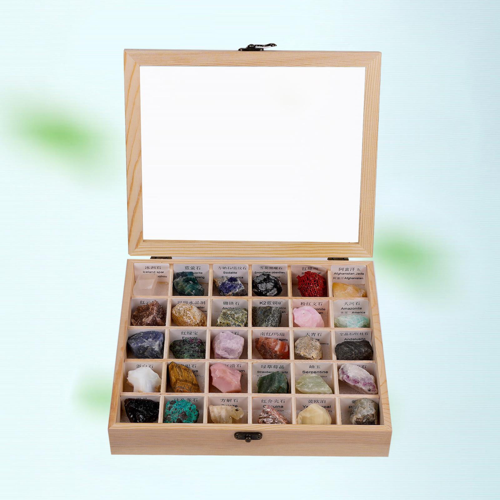 Rock Collection Box with 18 Compartments 