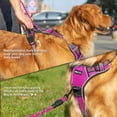 thumbnail image 4 of DMISOCHR No Pull Dog Harness and Leash Set Walking Breathable Mesh Large Dog Vest Harness Soft Padded, 4 of 5