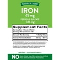 Nature's Truth Iron Supplement Tablets, 65 mg, 120 Count