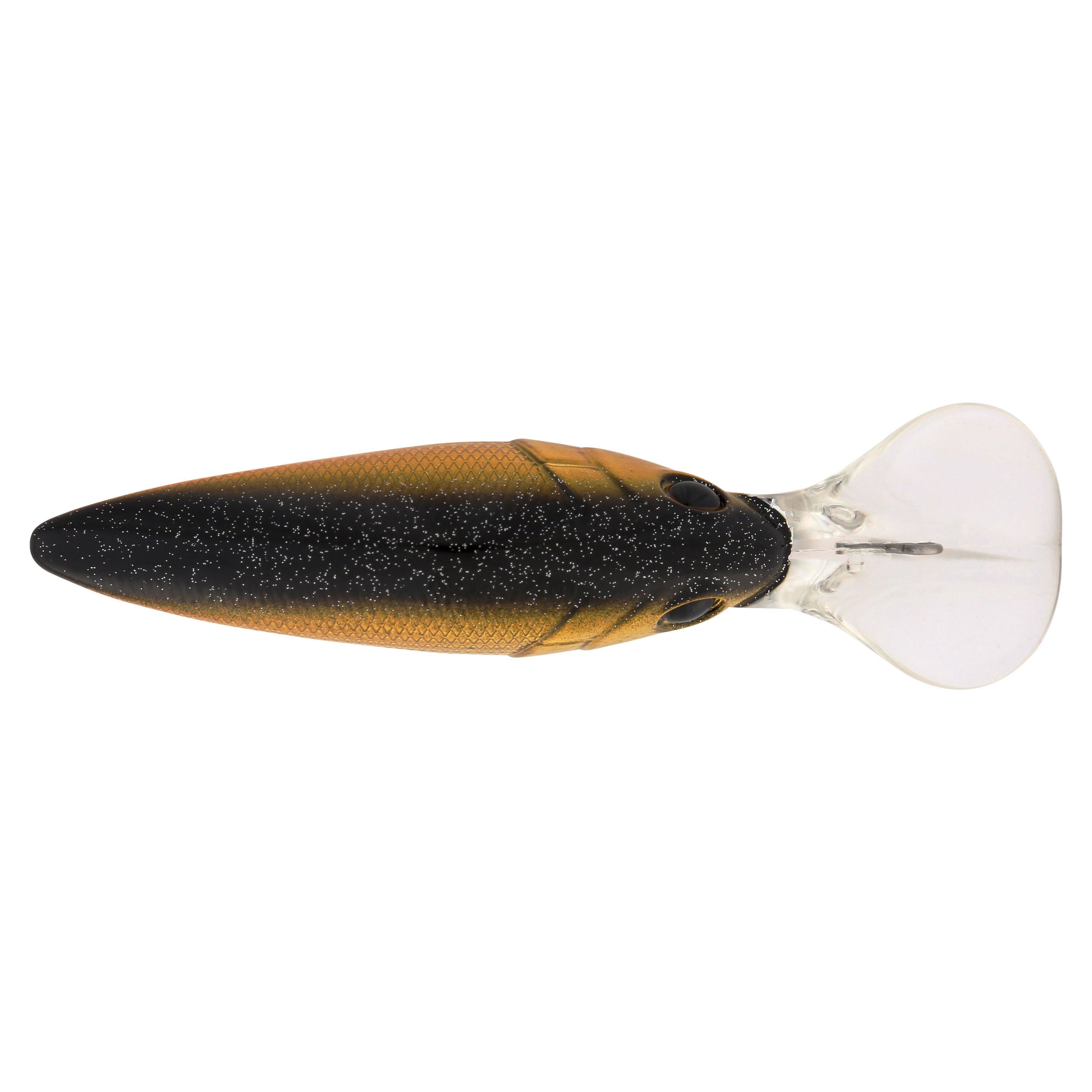 Berkley Money Badger, 5, Black Gold