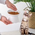 thumbnail image 4 of El cuenco elevado de cerámica para gatos, el cuenco inclinado para comida o agua para gatos y el cuenco elevado de porcelana para mascotas protegen la columna vertebral del gato, sin estrés, 4 of 6