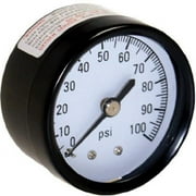 Water Source M1002-8B 100 lbs. Backmount Gauge, 2 x 2.18 x 2.18 in.