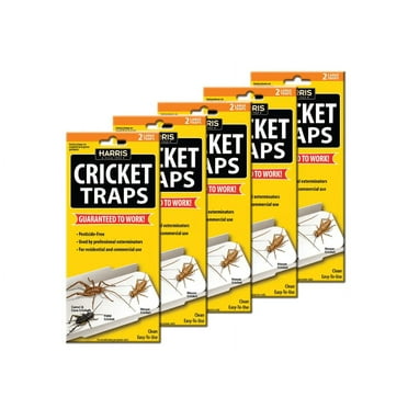 Cricket Trap Value Pack (10-Pack)