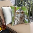 thumbnail image 1 of Ahgly Company Animals Owl Outdoor Throw Pillow, 18 inch by 18 inch, 1 of 6