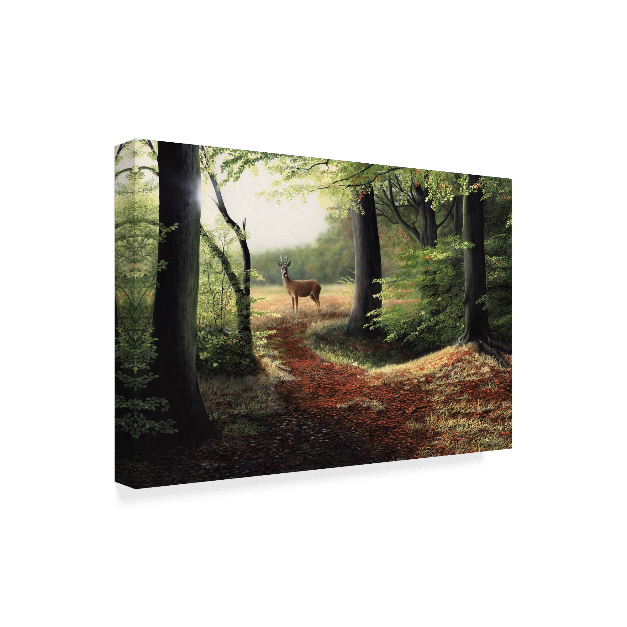 Trademark Fine Art 'Roe Deer' Canvas Art by Nigel Artingstall