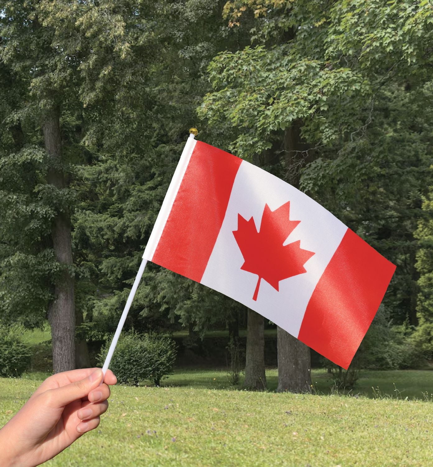 Way to Celebrate 4 Pack Handheld Canada Canadian Stick Flags, Flag Size: 5.3" x 9.7", 4 Flags per Package