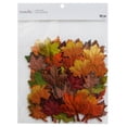 thumbnail image 2 of Fall Paper Leaf Embellishment Set by Recollections, 2 of 2