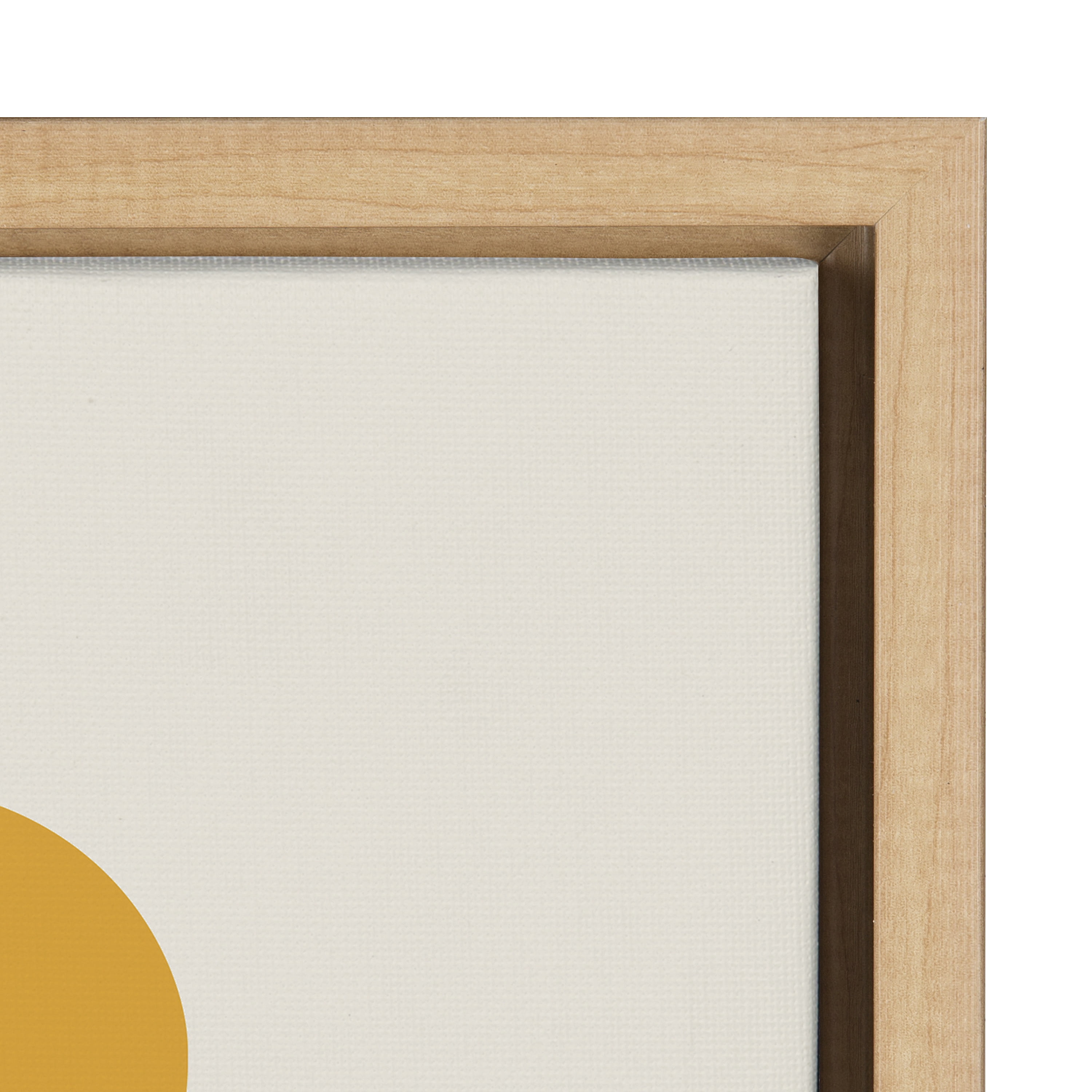 Kate and Laurel Animals & Insects Framed Canvas Art Print, 18" x 24"