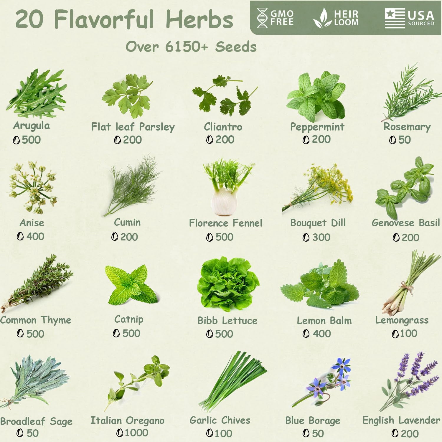 20 Culinary Herb Seeds Variety Pack MVR1&nbsp;(6150+ Non-GMO) - USA-Sourced, High-Germination, Heirloom Collection, Indoor/Outdoor Planting, Mother's Day Gift & Survival Garden Essential