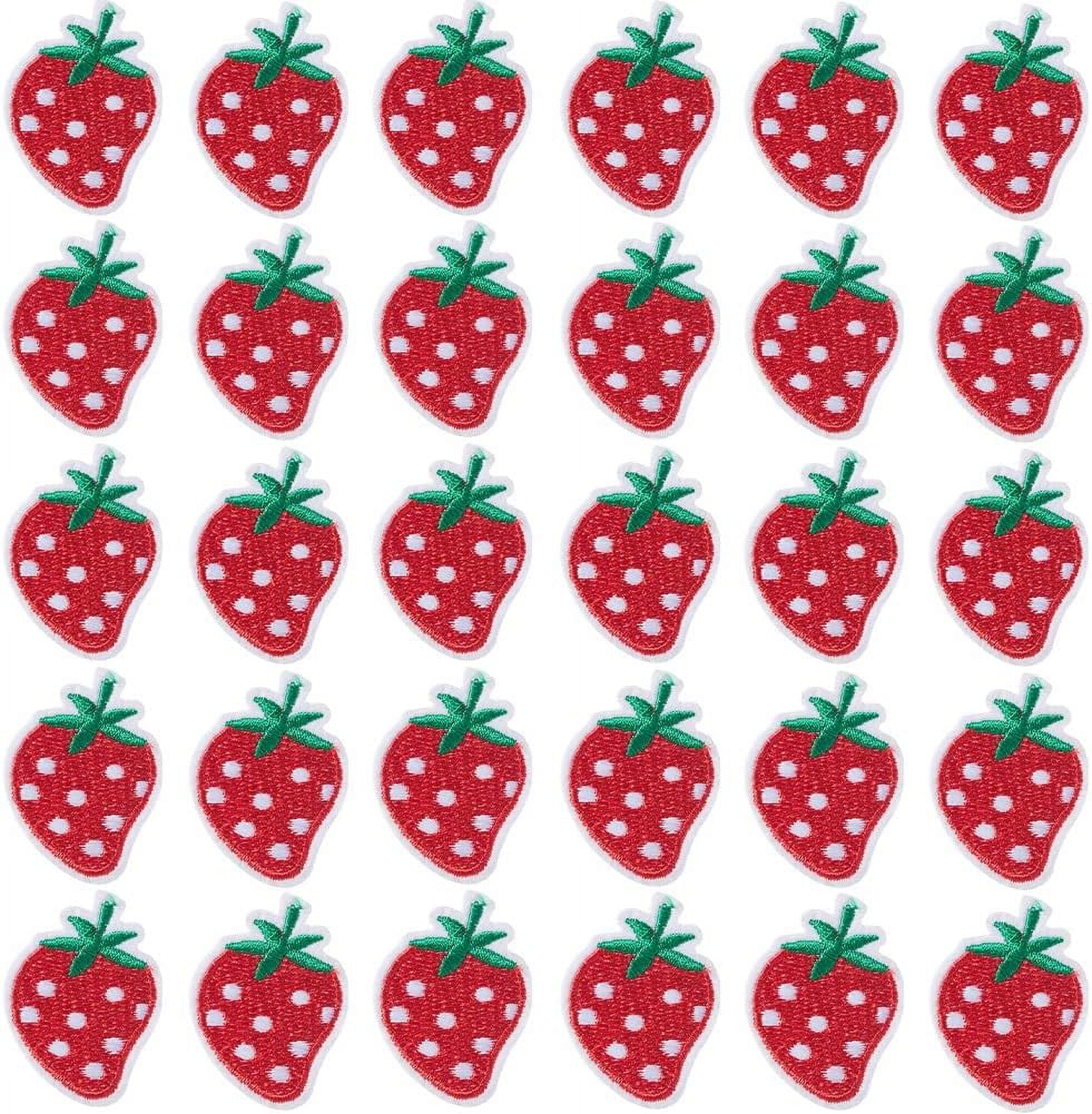 43-Pc Daisy & Bee Embroidery Patches - Iron-On Or Sew-On For Clothes Repair & DIY