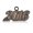 Silver, variant on Year 2016 Charms, Gold