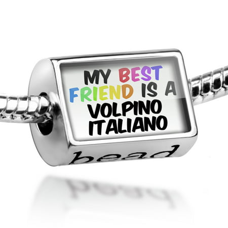 Bead My best Friend a Volpino Italiano Dog from Italy Charm Fits All European