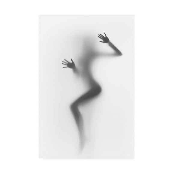 Trademark Fine Art 'Flattened' Canvas Art by Incado