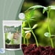 thumbnail image 1 of Polvo enraizante para plantas | Catalizador de hormona enraizante | Nutrientes de nitrógeno, fósforo y potasio para plantas | Mejora el crecimiento y la resistencia al estrés | 1 paquete de, 1 of 9