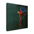 thumbnail image 2 of Trademark Fine Art 'Macaw Over Forest' Canvas Art by Michael Jackson, 2 of 3