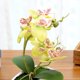 thumbnail image 3 of Flores Artificiales En Seda Artificial Flores Artificiales Verde Sunnimix bonsai sintético, 3 of 8