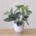 thumbnail image 3 of Sunjoy Tech Plant Potted Plant, Mini Artificial Plants Foliage Leaves in Pots, Green Faux Potted Plants for Office Table Bathroom Greenery Room Home Decor, 3 of 8