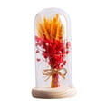 thumbnail image 4 of Regalos de flores para iluminar flores en cúpula de cristal, regalos del Día de San Valentín, lámpara LED de mesa para cafetería, fiesta, aniversario rojo Yinane lámpara de noche, 4 of 8