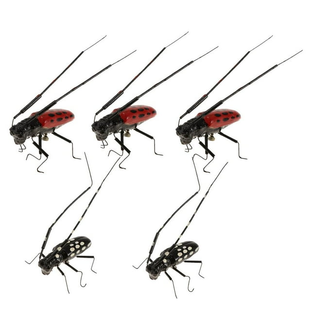 Almencla 5 Pieces Hot Selling Simulation Artificial Animal Model Children Educational Toy Longicorn