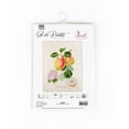thumbnail image 3 of The Dutch Codlin BA22440L Counted Cross-Stitch Kit, 3 of 12