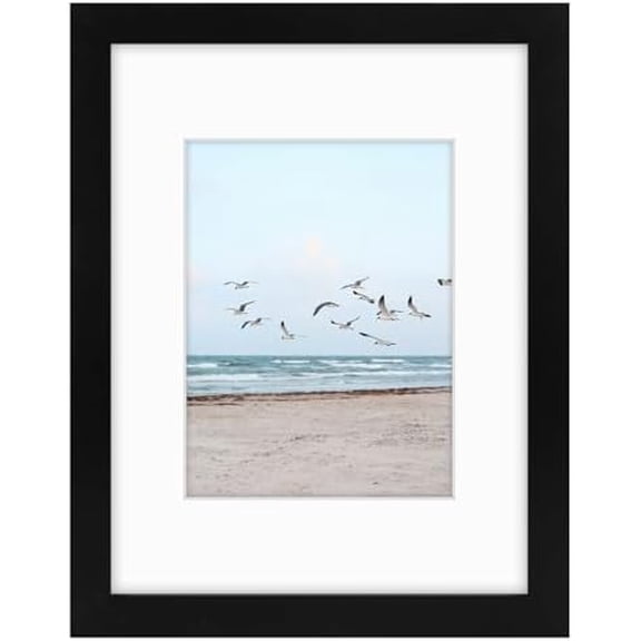 , 9x12 Frames Display 6x8 Picture with Mat or 9x12 Photo Without Mat, Shatter-Resistant Glass, Pre-Installed Wall Mounting Hardware - Black