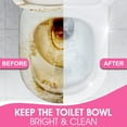 thumbnail image 6 of WBM Toilet Bowl Cleaner, Bathroom Cleaner with 8 Replacement Heads & Storage Caddy - Pack of 2, 6 of 6