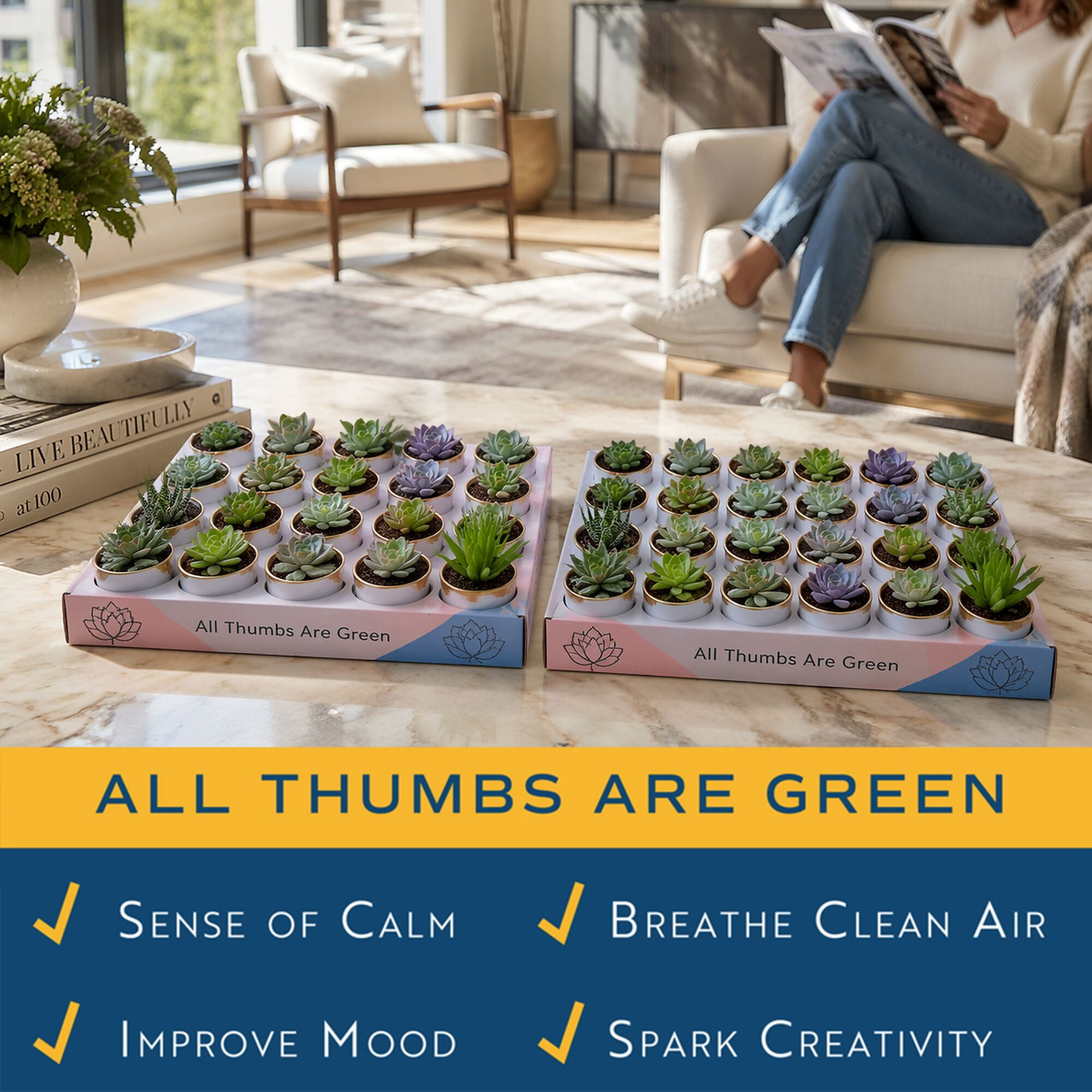 Costa Farms 3" Tall Assorted Succulents, Bright Direct Sunlight, Indoor Live House Plants, 48-Pk