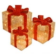 thumbnail image 1 of Set of 3 Gold Thread Giftbox with Holly & 35 Clear Indoor/Outdoor Lights, 1 of 1