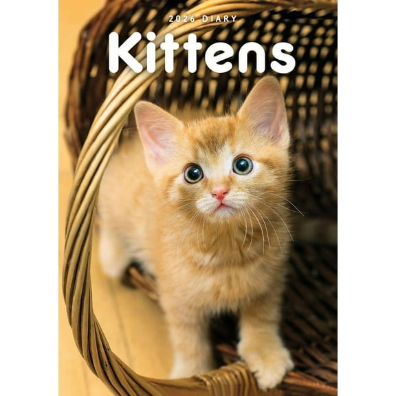 2026 Kittens Engagement Diary, (Paperback)