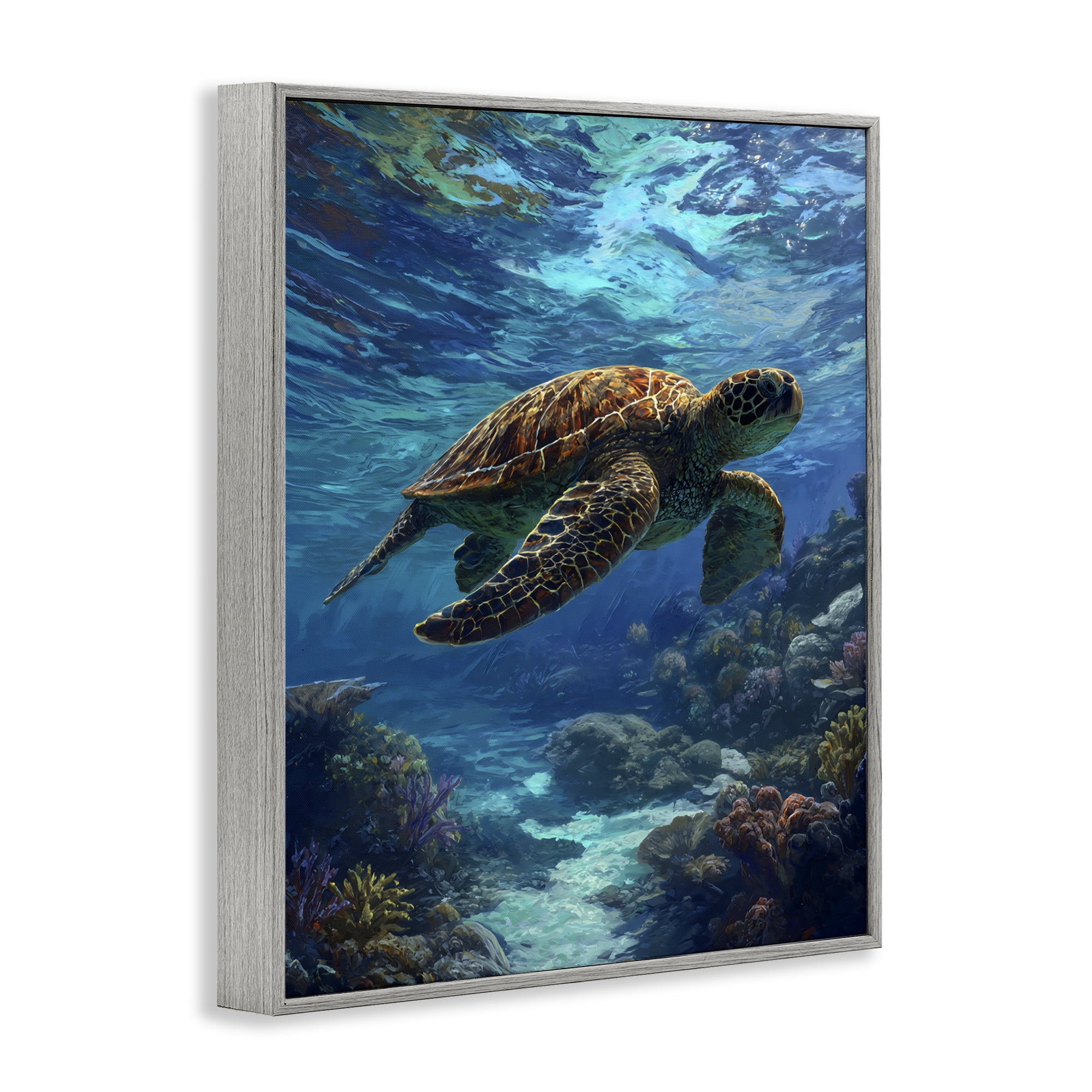 Stupell Industries Oceanic Adventurer Tortoise Gray Framed Giclee Art, design by Franklyn Gregory